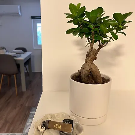 דירה Cukr לובליאנה