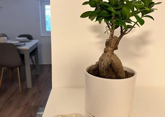 Apartment Cukr Ljubljana